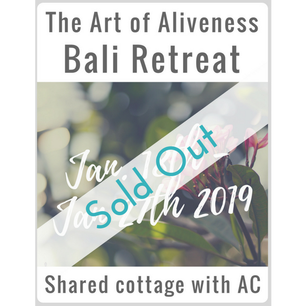Art of Aliveness Bali Retreat 2019<br><small>Shared Cottage with AC</small>
