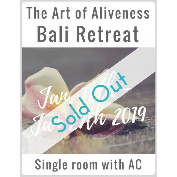 Art of Aliveness Bali Retreat 2019<br><small>Single Room with AC</small>