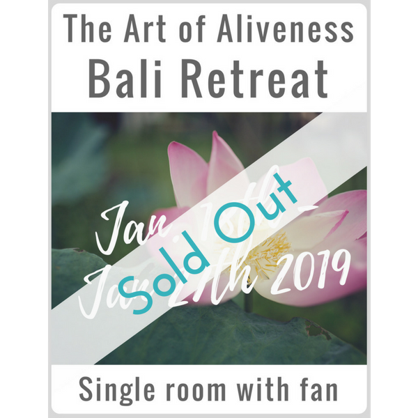 Art of Aliveness Bali Retreat 2019<br><small>Single Room with Fan</small>