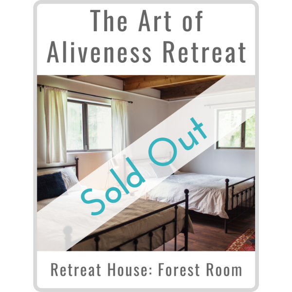 Art of Aliveness Retreat September 2022<br><small>Forest Room (Double)</small>
