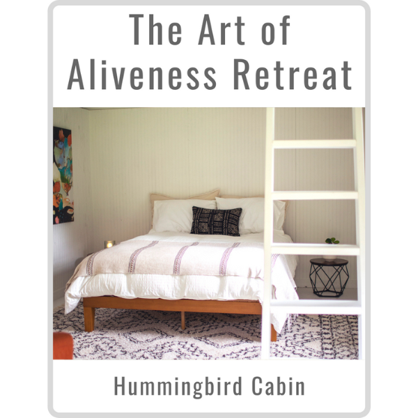 Art of Aliveness Retreat August 2022<br><small>Hummingbird Cabin (Single)</small>