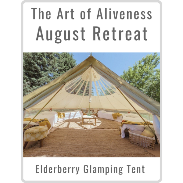 Art of Aliveness Retreat August 2022<br><small>Elderberry Glamping Tent (Double)</small>