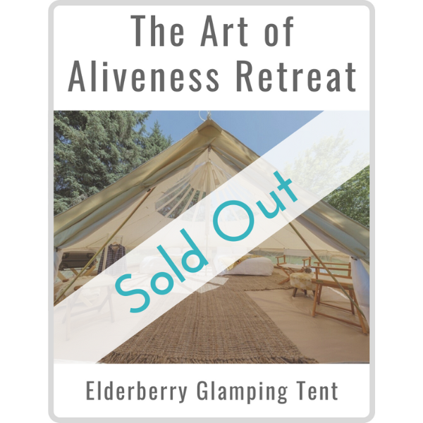 Art of Aliveness Retreat September 2022<br><small>Elderberry Glamping Tent (Double)</small>