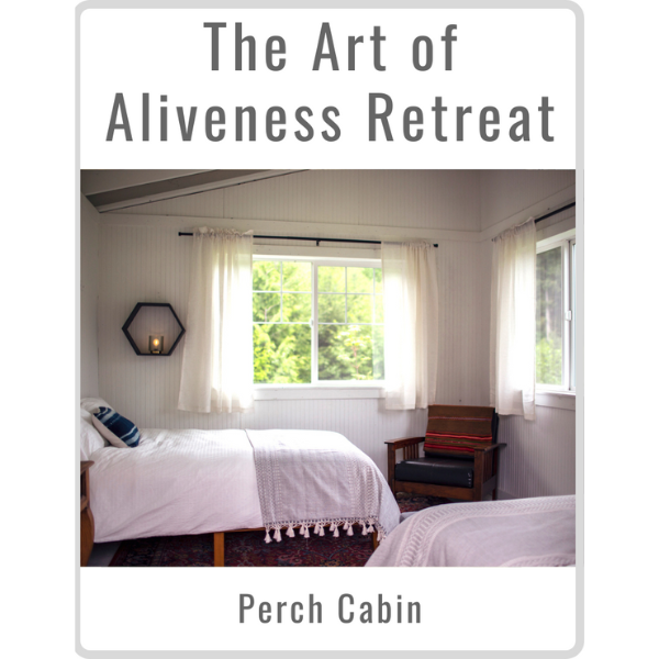 Art of Aliveness Retreat August 2022<br><small>Perch Cabin (Double)</small>