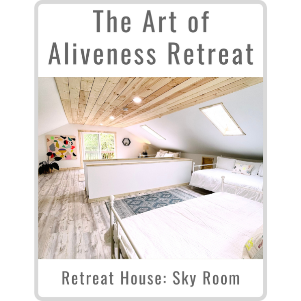 Art of Aliveness Retreat August 2022<br><small>Sky Room (Triple)</small>